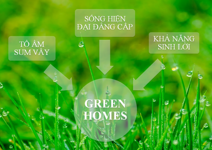 Chính thức mở bán siêu dự án hot nhất Bắc Ninh dự án Green Homes, Đình Bảng - Từ Sơn - Bắc Ninh