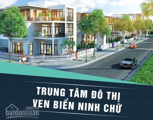 Dự án đất nền ven biển Ninh Thuận- Vị trí vàng cho các nhà đầu tư lớn.
