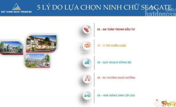 Bất động sản Ninh Thuận lên ngôi, nhưng đầu tư dự án nào mới thật sự tiềm năng?
