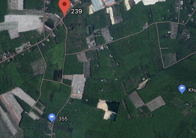 Bán đất thị trấn Chơn Thành, Bình Phước diện tích 275m2 giá chỉ 580 triệu