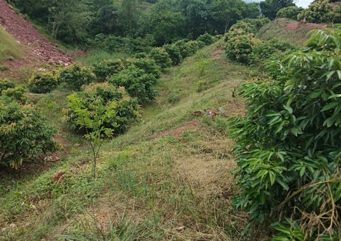 Cần bán đất nông nghiệp tặng nhà tại xã Yên Định, huyện Sơn Động, tỉnh Bắc Giang, giá đầu tư