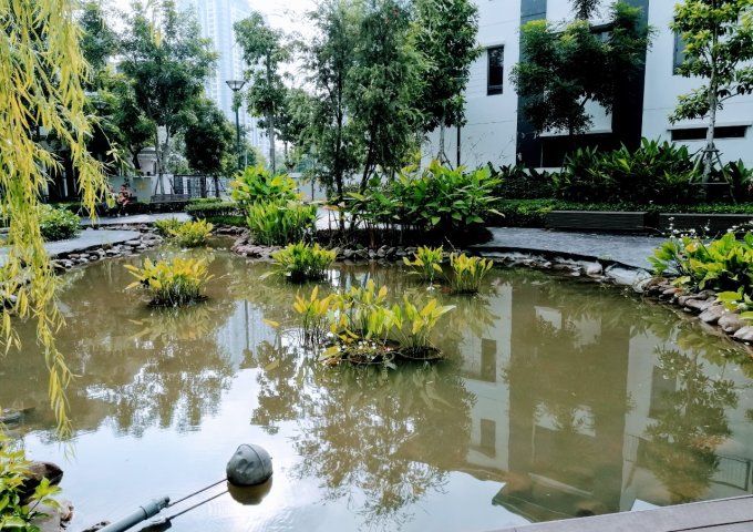 Bán nhà biệt thự liền kề tại Khu đô thị Gamuda Gardens, quận Hoàng Mai, Hà Nội