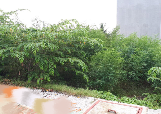 Bán đất nền dự án tại Đường 8, Quận 9,  Hồ Chí Minh diện tích 50m2  giá 2.350 Tỷ