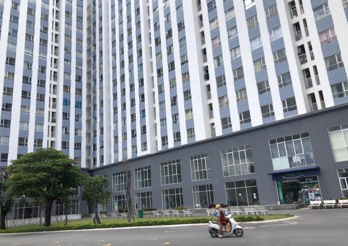 Shophouse chỉ 2,6 tỷ, rẻ nhất ở Hồ Chí Minh