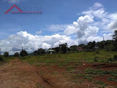 Cần bán gấp đất 3 mặt tiền đường lớn tại xã Ia Dêr,huyện Ia Grai, tỉnh Gia Lai