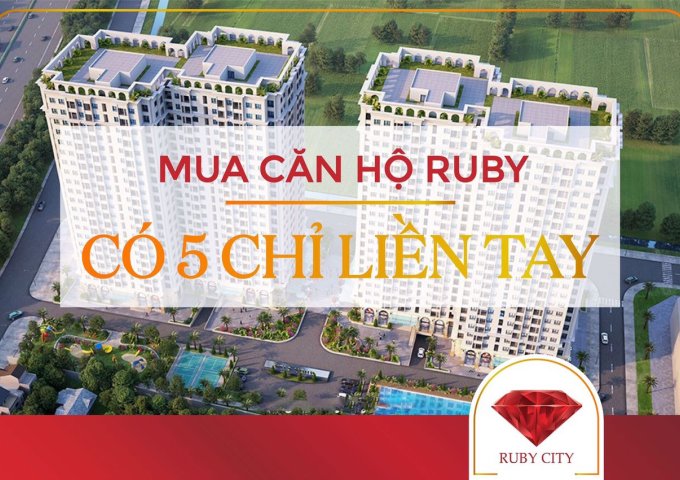 RUBY CITY CT3- 300 TRIỆU SỞ HỮU CĂN HỘ TIỆN NGHI HOÀN HẢO