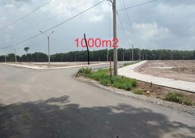 Bán đất tại Đường Quốc Lộ 13, Chơn Thành,  Bình Phước diện tích 1000m2  giá 490 Triệu