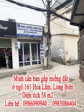 Chính chủ cần bán gấp miếng đất ở ngõ 161 Hoa Lâm, Long Biên