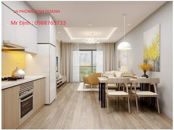 Bán căn hộ 2 phòng ngủ 68m2 dự án the city light vĩnh yên 