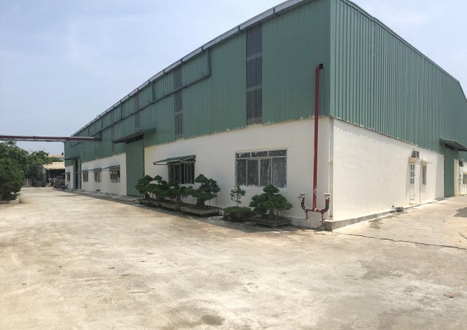 Cho thuê xưởng và sân bê tông chính chủ tại KCN Phú Nghĩa, Chương Mỹ, Hà Nội
