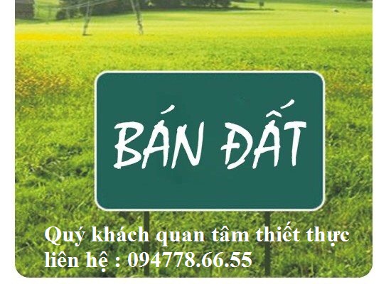 Chính chủ bán nhà bằng mặt đường Trần Quang Khải - Hà Huy Tập (3833)