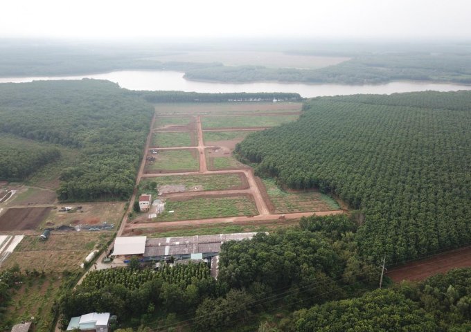 Bán đất dự án gần Cát Tường Phú Hưng, Đồng Phú, tỉnh Bình Phước, giá bán 470 triệu/100m2 Liên hệ: 0989310301