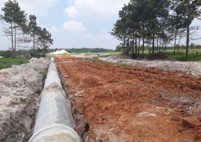 Cập nhật hạ tầng dự án Phú Mỹ Gold Villas ngày 30.8.2019.