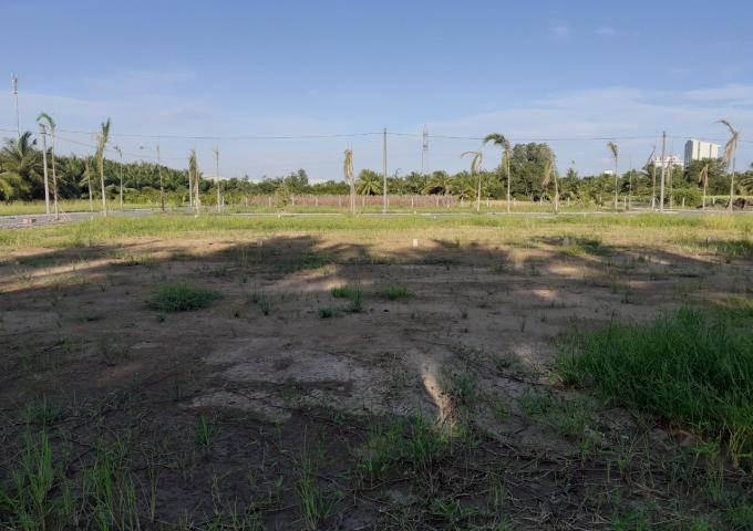 Chính chủ cần tiền làm ăn bán gấp lô đất gần KCN Tân Hương, xã Tân Hương, Tiền Giang