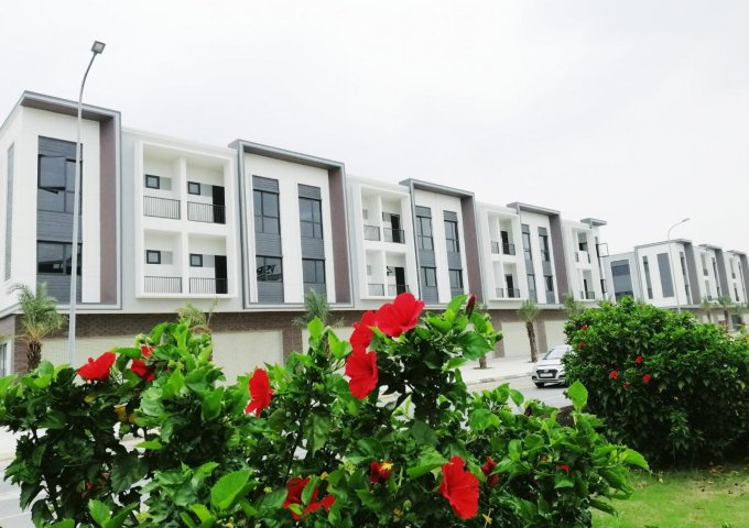 Bán nhà mặt phố tại Dự án Centa City, Từ Sơn,  Bắc Ninh diện giá chỉ 3,6 tỷ Đồng 