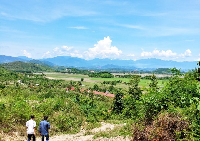 Bán 80 hecta đất trồng cây lâu năm xã Diên Lâm, Diên Khánh, Khánh Hòa.