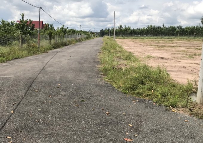 Bán đất tại Xã Tân Khai, Hớn Quản, Bình Phước diện tích 500m2 giá 450,000 Triệu