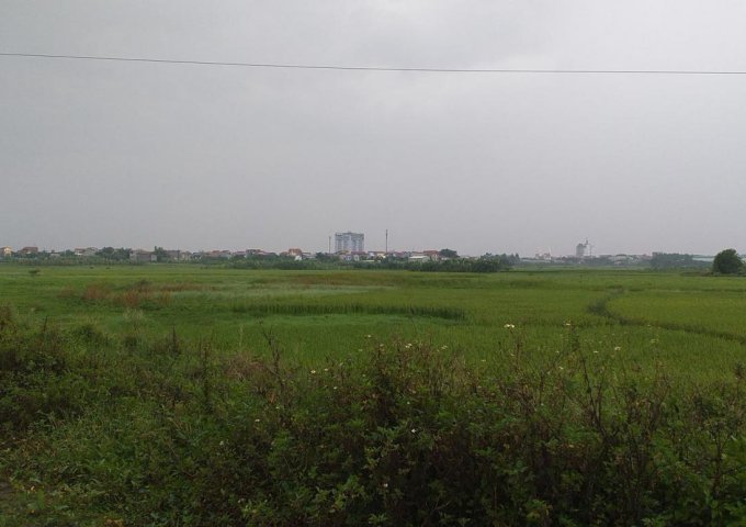 Chính chủ cần bán lô đất công nghiệp 110 ha Vĩnh Phúc, chỉ 1,5 tr/m2