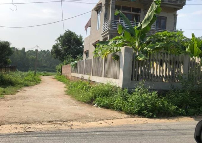 Bán đất ở khu 5 xã Kim Đức, Thành phố Việt Trì, Tỉnh Phú Thọ ( Phía sau trạm xá )