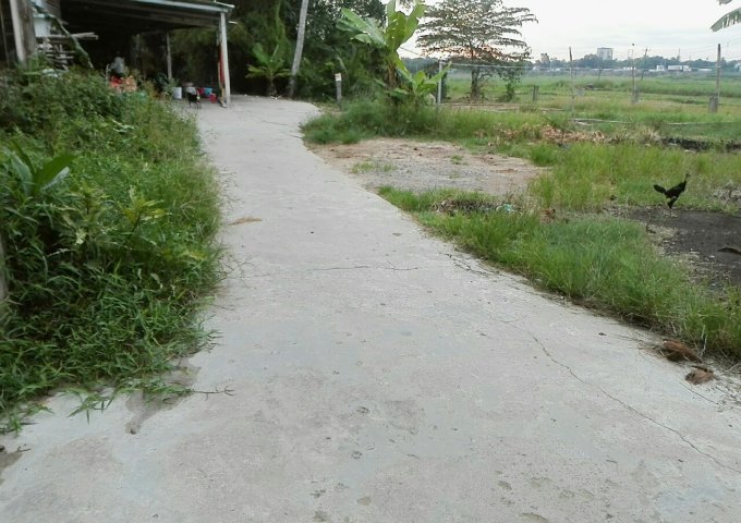 Đất cách Quốc lộ 1A, mặt tiền đường bê tông 4m Tam Xuân 1