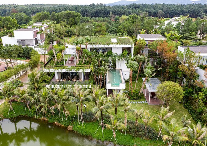 Hot! Chính sách Tháng 9 Tặng 10 Cây vàng khi mua Villa View hồ Flamingo Đại Lải Resort-0869 089 958