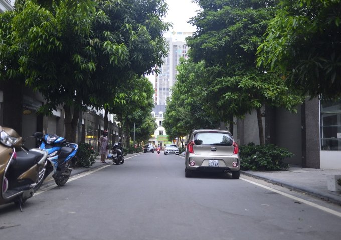 Chính chủ cho thuê gấp biệt thự làm văn phòng tại phố Victoria, Văn Phú Hà Đông, chỉ 5tr/tháng.