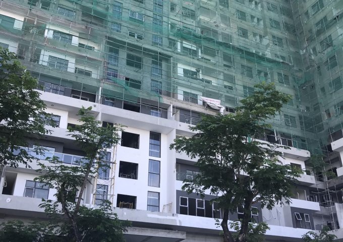 Bán căn hộ chung cư tại Phường Cẩm An, Hội An,  Quảng Nam diện tích 45m2  giá 100,000,000 Triệu