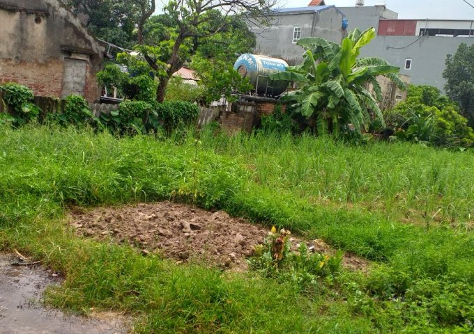 Bán đất thỏ cư, sổ đỏ chính chủ tại phường Lam Sơn, Tp Hưng Yên