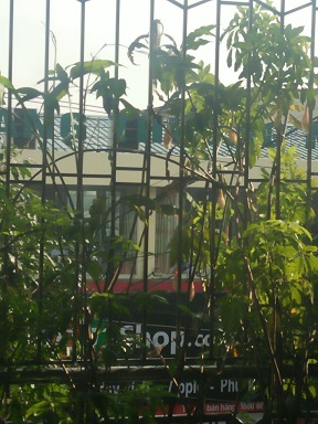 Bán nhà tại Uông Bí, Quảng Ninh (nhà sát cổng chợ trung tâm, đối diện nhà hàng thương mại Uông Bí, Quảng Ninh). Nhà hướng Nam, sổ đỏ chính chủ.