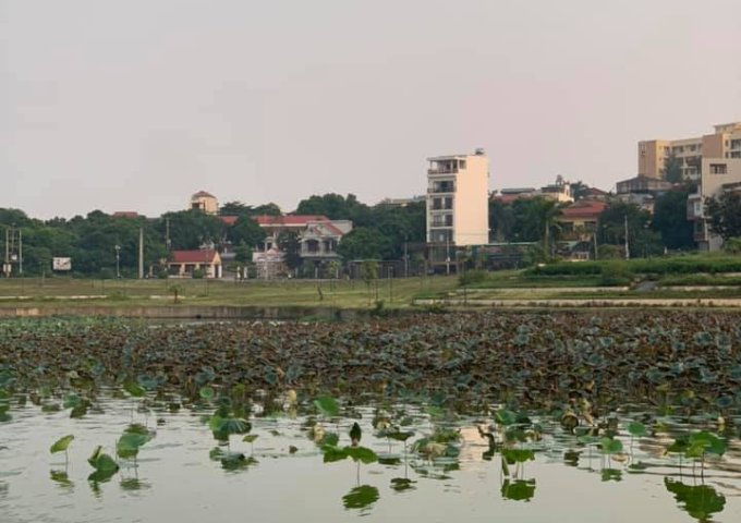 Cho thuê tầng 2.3 nhà đường Tiên Dung, TP Việt Trì, Phú Thọ ( mặt hồ công viên Văn Lang ), vị trí View đẹp