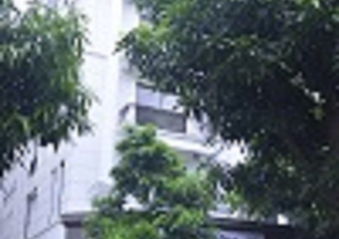 Chính chủ cho thuê biệt thự làm văn phòng, tầng 2, 3 rộng 87m2 tại Văn Phú Victoria, giá rẻ 5triệu/tháng.