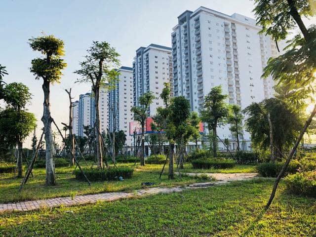 Bán căn hộ chung cư 2 phòng ngủ tại Thanh Hà,Hà Đông, giá gốc 10,5 tr/m hỗ trợ vay ngân hàng 70%. Lh 0918291307
