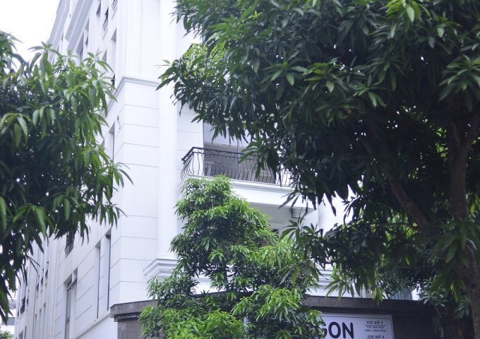 Biệt thự cho thuê làm văn phòng tầng 2,3 DT 87m2, giá 5tr/tầng tại Văn Phú Victoria Hà Đông