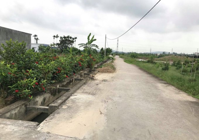 Bán  lô đất tại thông Minh Kha xã Đồng Thái huyện An Dương 150m 1ty120tr