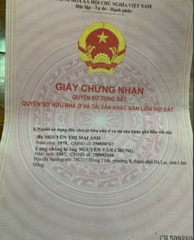 Chính chủ cần bán 2 lô đất đường Huỳnh Tấn Phát , Phường 11 , Đà Lạt , Lâm Đồng