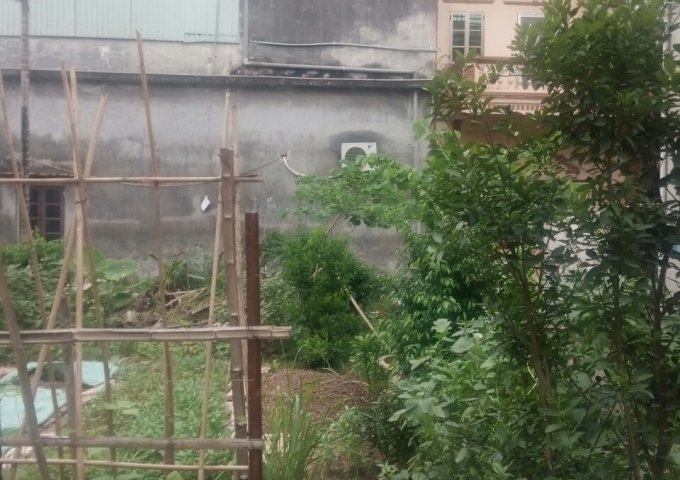 Bán đất mặt ngõ ô tô vào nhà  diện tích 42,5m2 Lê Trọng Tấn, La Khê- Hà Đông. 