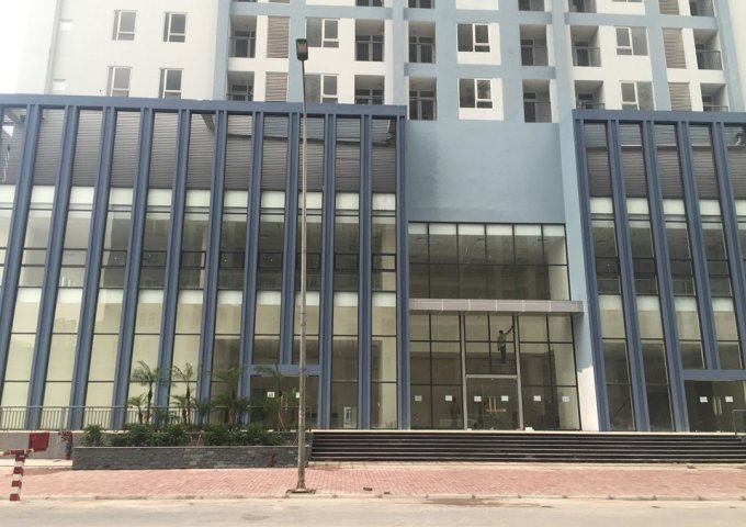 Bán căn hộ chung cư tại Phường Yên Hòa, Cầu Giấy,  Hà Nội diện tích 100m2  giá 3 Tỷ