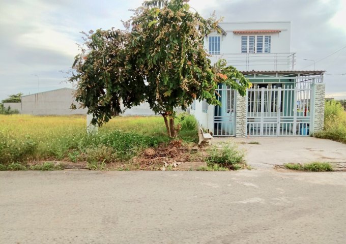 Bán đất Bình Chánh, đường Trần Văn Giàu gần cầu Bà Lát, Tỉnh Lộ 10, sổ hồng riêng