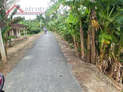 chính chủ bán đất gần khu công nghiệp hòa phú -Huyện Long Hồ, Vĩnh Long