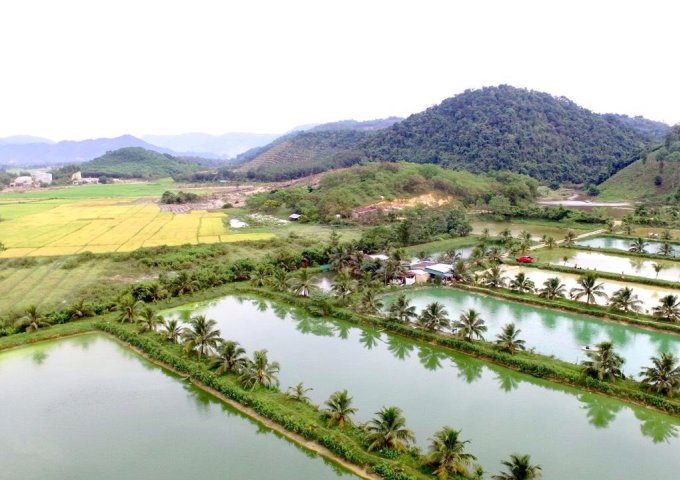 chính chủ bán lô đất 4 mặt tiền, có sẵn ao cá, vườn dừa, diện tích 3000m2, gần ngay KDL Madagoui, đuờng rộng 6m 0896639466