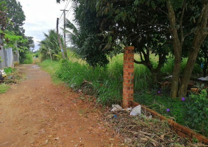 Bán đất tại Phường Khánh Xuân, Buôn Ma Thuột,  Đắk Lắk diện tích 500m2  giá 410 Triệu
