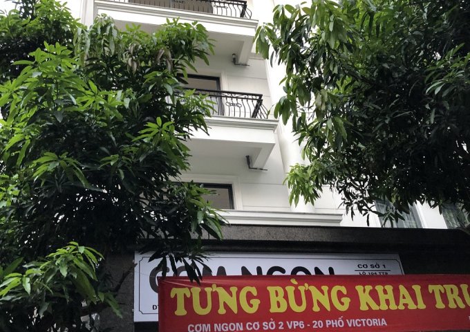 Chính chủ cho thuê MBKD và văn phòng tại biệt thự  Văn Phú Hà Đông, 2 mặt tiền, 87m2, chỉ từ 5tr/tầng.