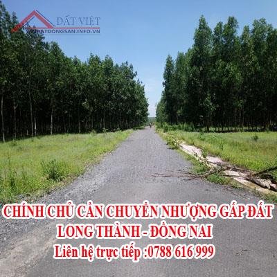 CHÍNH CHỦ CẦN CHUYỂN NHƯỢNG GẤP ĐẤT  - LONG THÀNH - ĐỒNG NAI