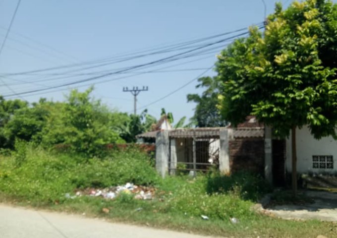 Cần bán mảnh vườn ở ngã ba quân đội, xã Lan Mẫu, Lục Nam,Bắc Giang