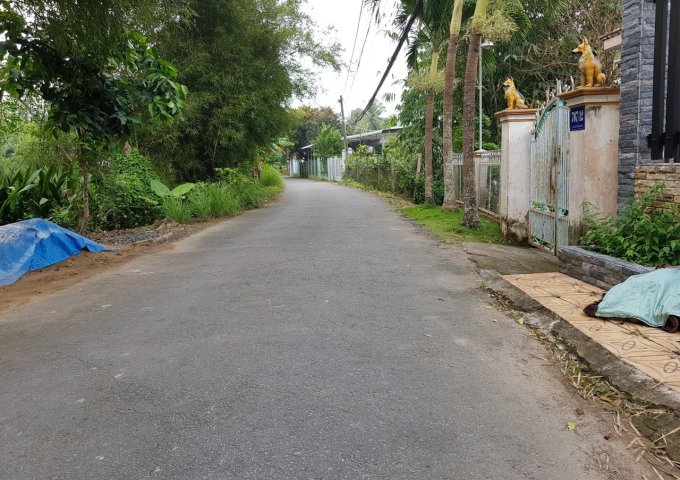 Nền đẹp đường Nguyễn Thanh Sơn, phường Long Hòa, quận Bình Thuỷ, TP Cần Thơ. 