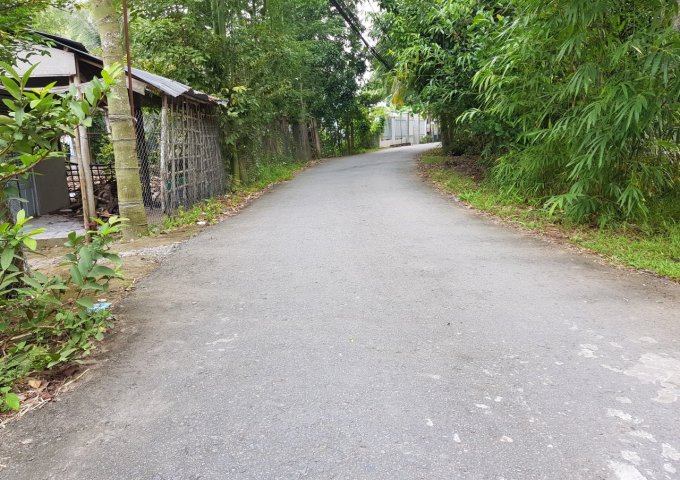 Nền đẹp đường Nguyễn Thanh Sơn, phường Long Hòa, quận Bình Thuỷ, TP Cần Thơ. 