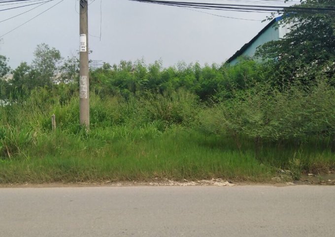 Tôi chính chủ kẹt tiền cần bán nhanh lô đất mặt tiền Hồ Văn Tắng xã Tân Thạnh Đông huyện Củ Chi.