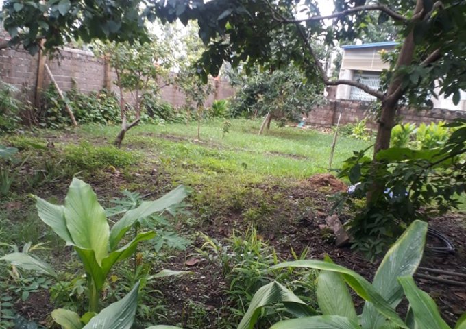 Cần bán lô đất mặt đường xóm tại tiểu khu 1, thị trấn Mộc Châu, Sơn La