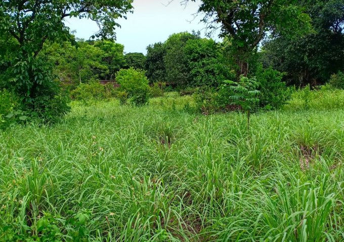 Bán đất tại Xã Hòa Sơn, Lương Sơn,  Hòa Bình diện tích 5,000m2 view cánh đồng giá rẻ