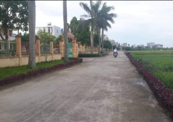 Bán đất tại Xã Vũ Phúc, Thái Bình,  Thái Bình diện tích 50m2  giá 460 Triệu